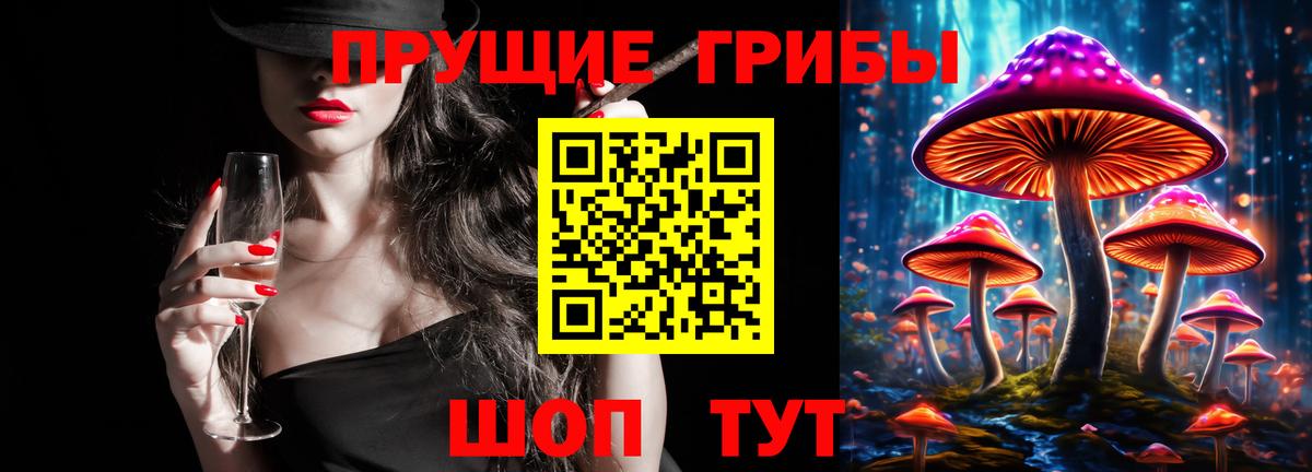 Гурьевск  Галлюциногенные грибы Magic Shrooms  Вход с VPN 